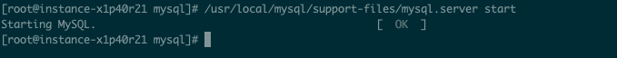 6、启动mysql服务器