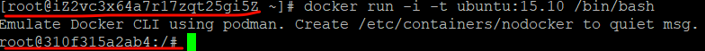 docker run -i -t